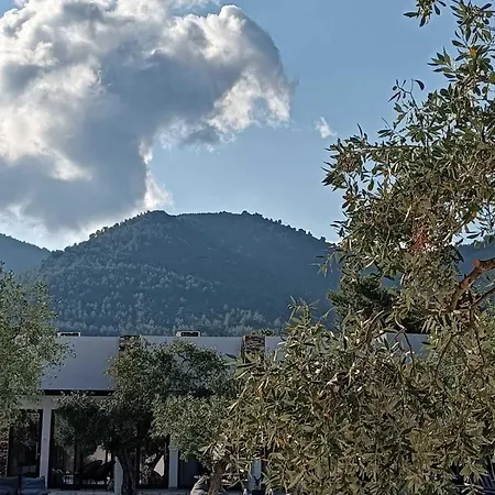 Hotel The Olive Hills