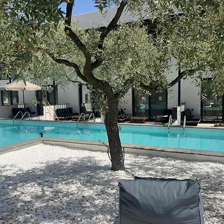 The Olive Hills * Skala Rachoni (Thasos)