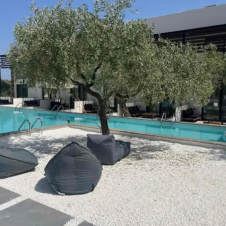 Hotel The Olive Hills Skala Rachoni (Thasos)