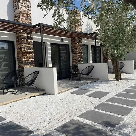 The Olive Hills Skala Rachoni (Thasos)