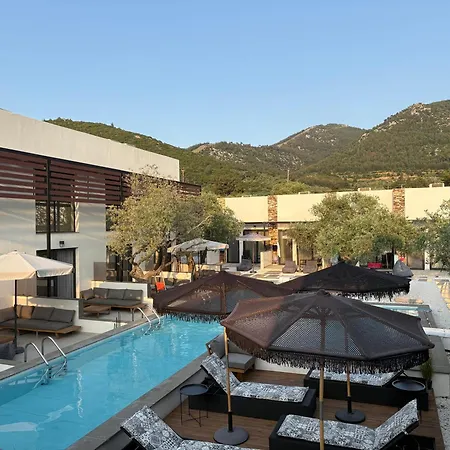 The Olive Hills מלון Skala Rachoni (Thasos)