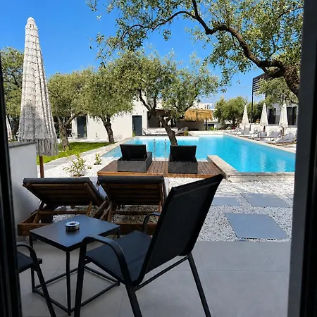 The Olive Hills Skala Rachoni (Thasos)