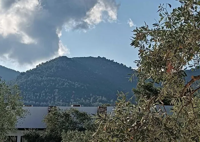 Hotel The Olive Hills